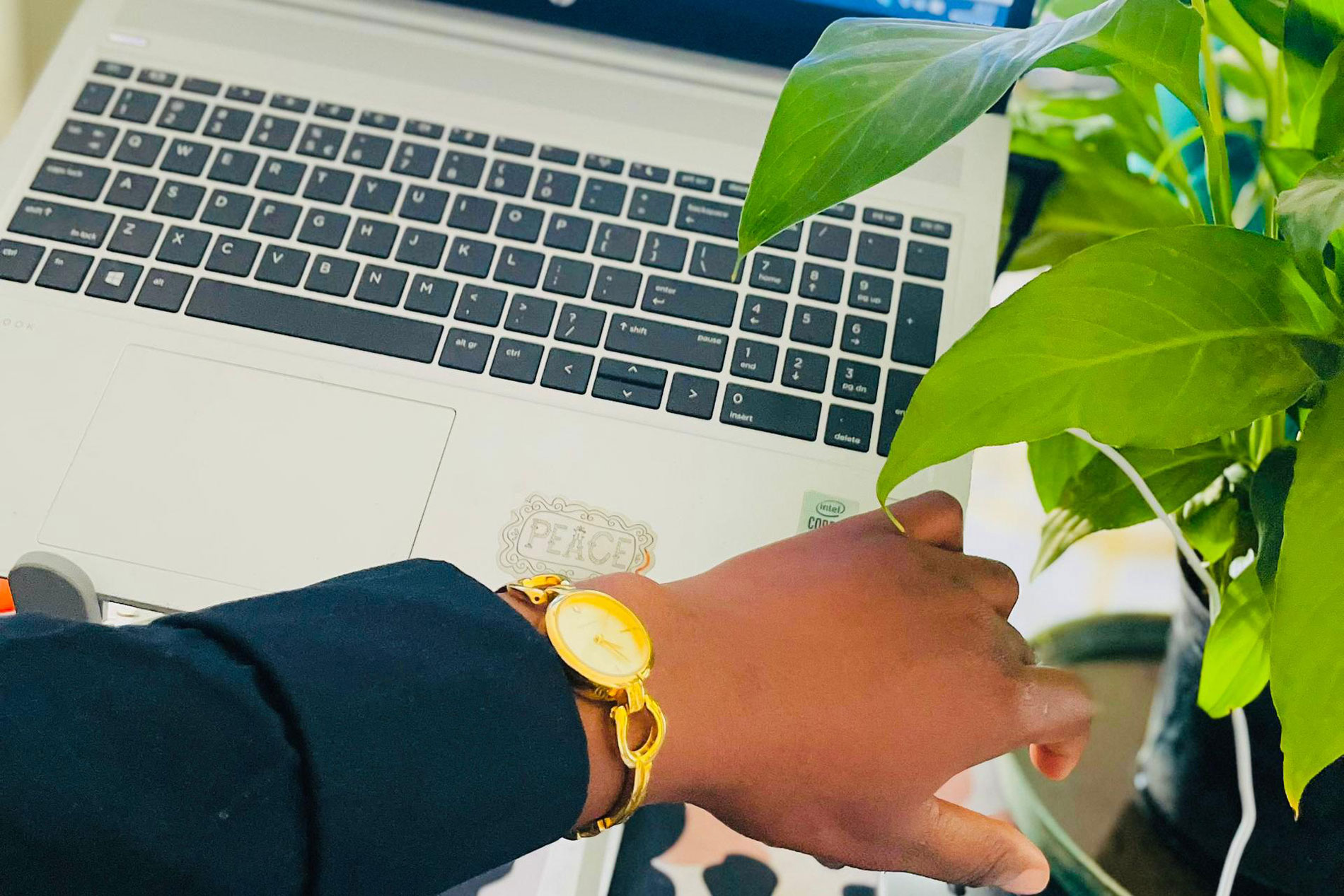 Free Website Template by Free-Template.co